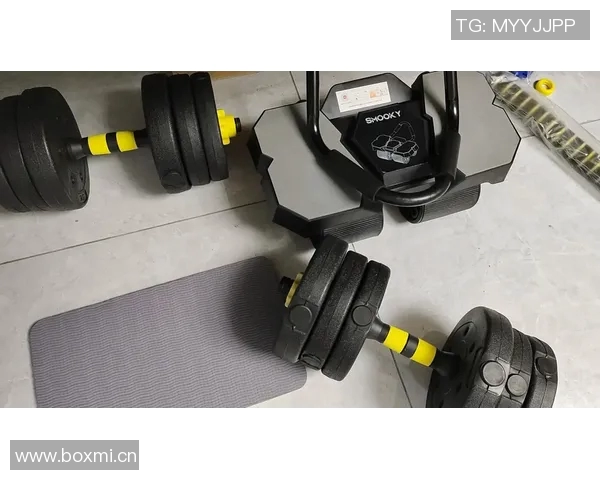 自制蝴蝶健身器材教程:家庭健身新选择 自制蝴蝶健身器材教程:家庭健身新选择